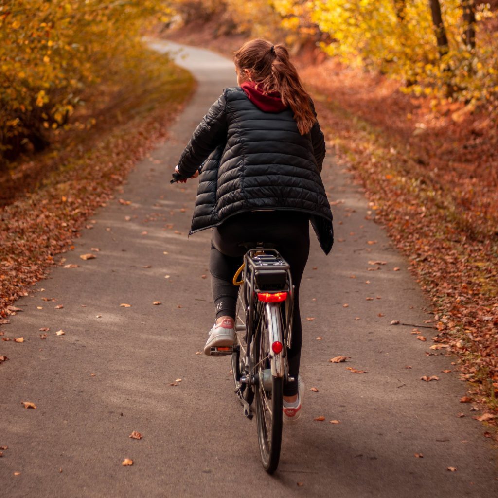 Koud op de fiets door het bos