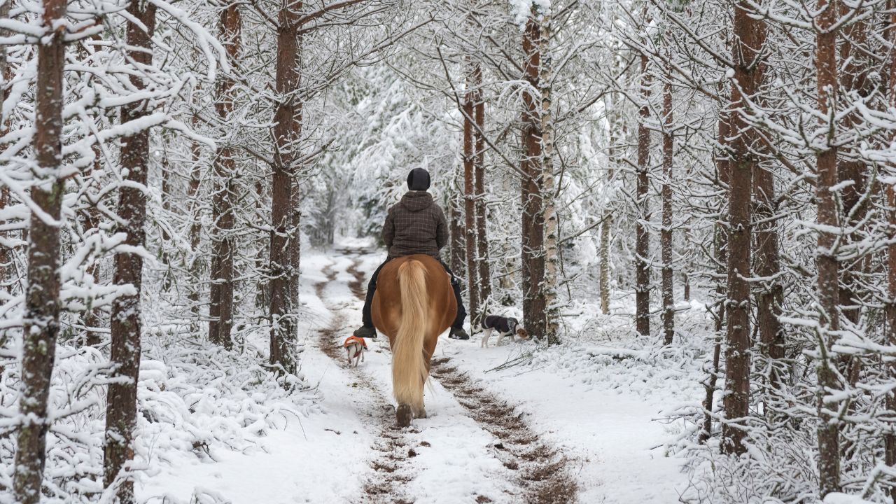 Warm paardrijden in de winter is mogelijk met de juiste uitrusting.