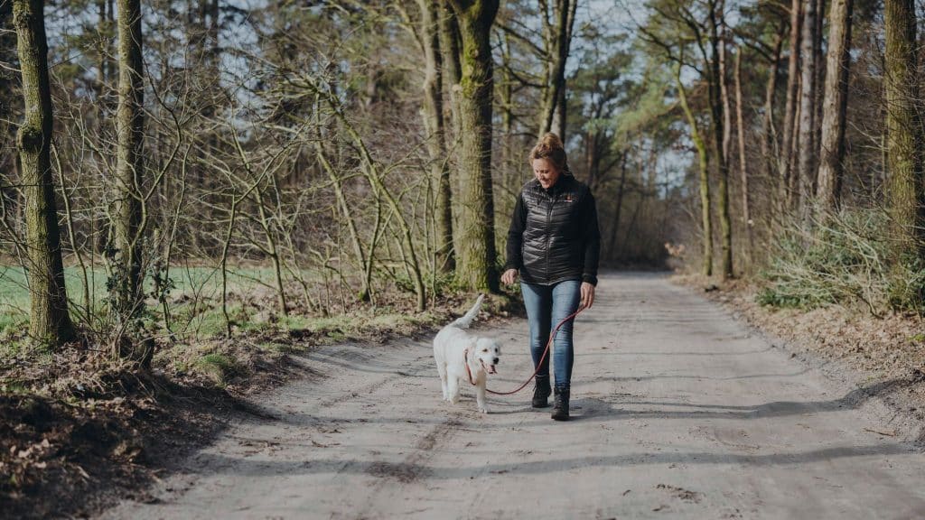 Magnetar Heat Hond wandelen