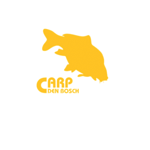 Ontwerp zonder titel - 2026-01-19T154935.123